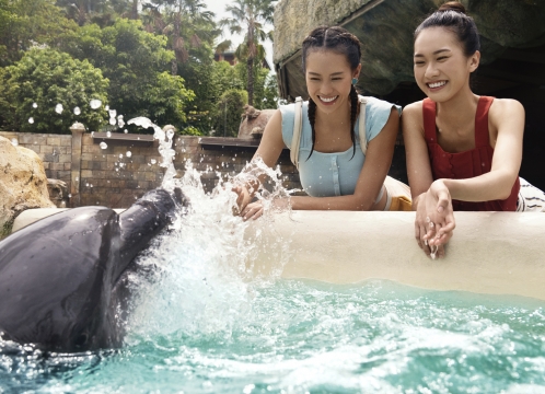 ドルフィンアイランド_エンカウンター